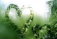 海南天涯论坛热议琼海新变化